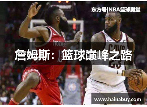 詹姆斯：篮球巅峰之路